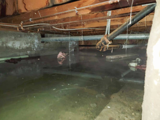 Best Flood restoration services  in South Duxbury, MA