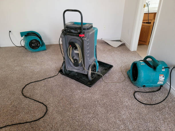 Best 24/7 water damage repair  in South Duxbury, MA