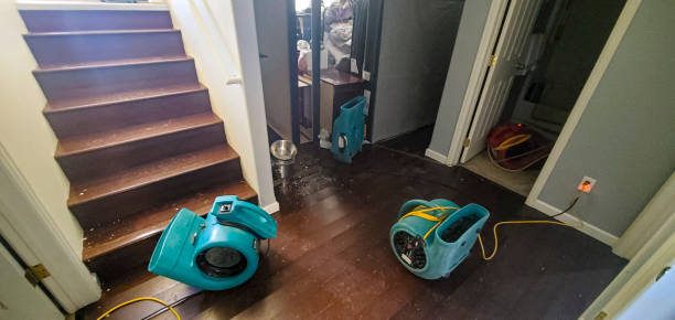 Carpet water damage restoration in MA