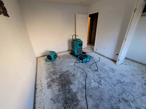 Best Basement water damage restoration  in South Duxbury, MA