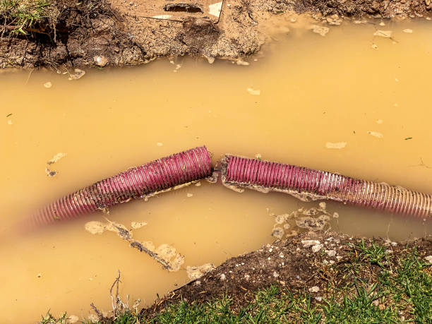 Best Water damage restoration near me  in South Duxbury, MA