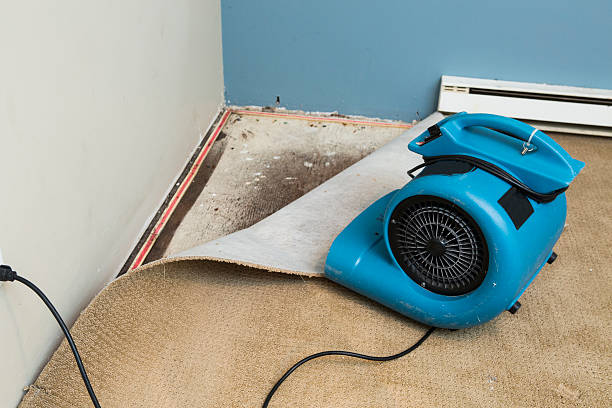 24/7 water damage repair in MA