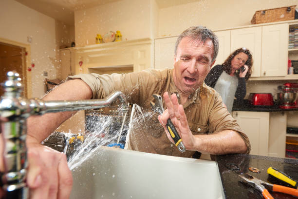 Best Professional water damage repair  in South Duxbury, MA